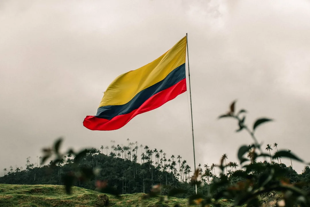 Admiten tutela por irregularidades en elecciones presidenciales de mayo