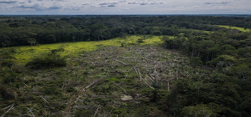 Aumento la deforestación en Caquetá.