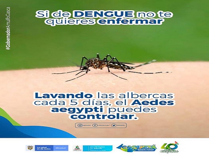 Prevengámonos del Dengue.