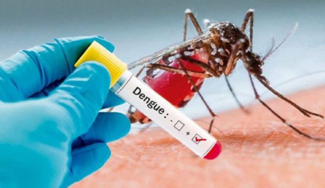 Incrementan los casos de dengue.