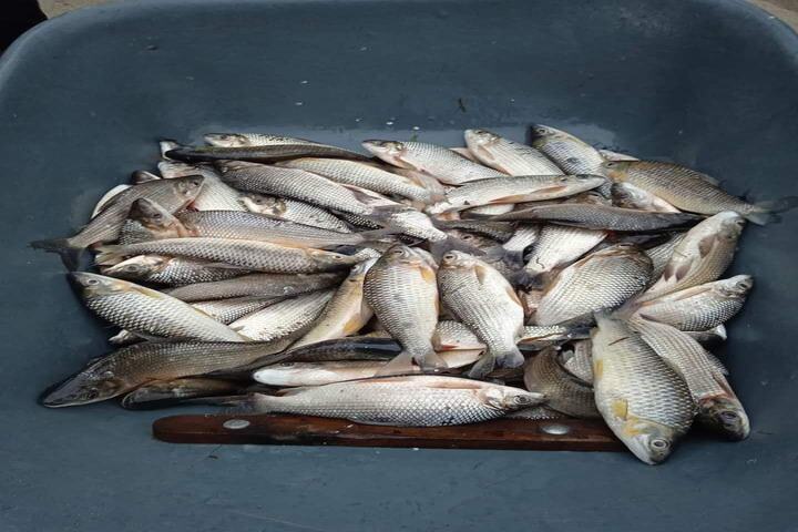 GRABE AFECTACIÓN AL RIO EN SÓLITA CAQUETA