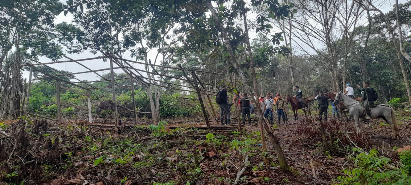 Jornada de recuperación de la zona forestal en la Troncal del Hacha.