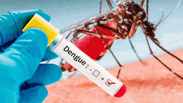 Alerta en Caquetá por casos de dengue.