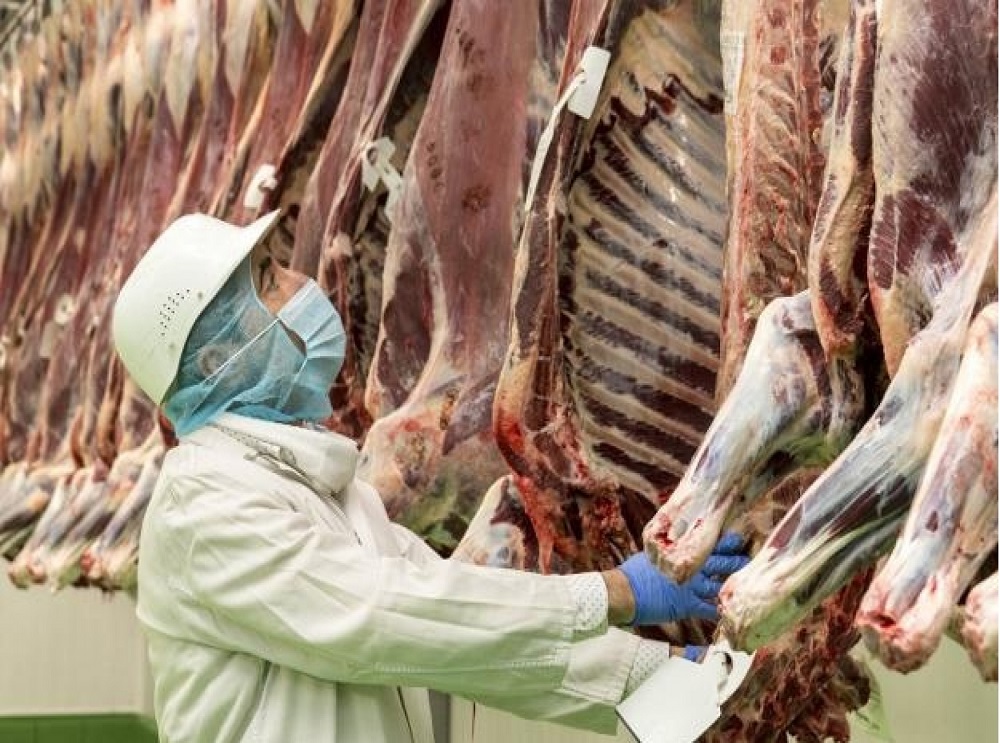 Se suspendió el beneficio animal para el consumo local.