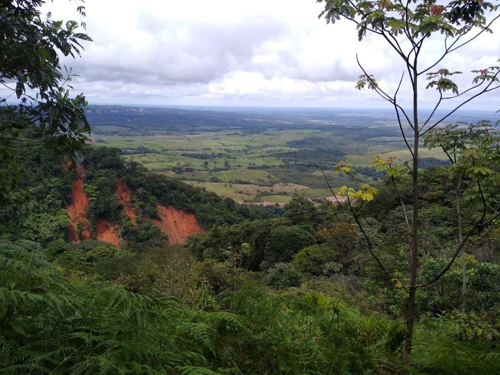 Alerta por represamiento de palizada en Montañita.