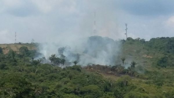 Disminuyen incendios forestales en Caquetá.