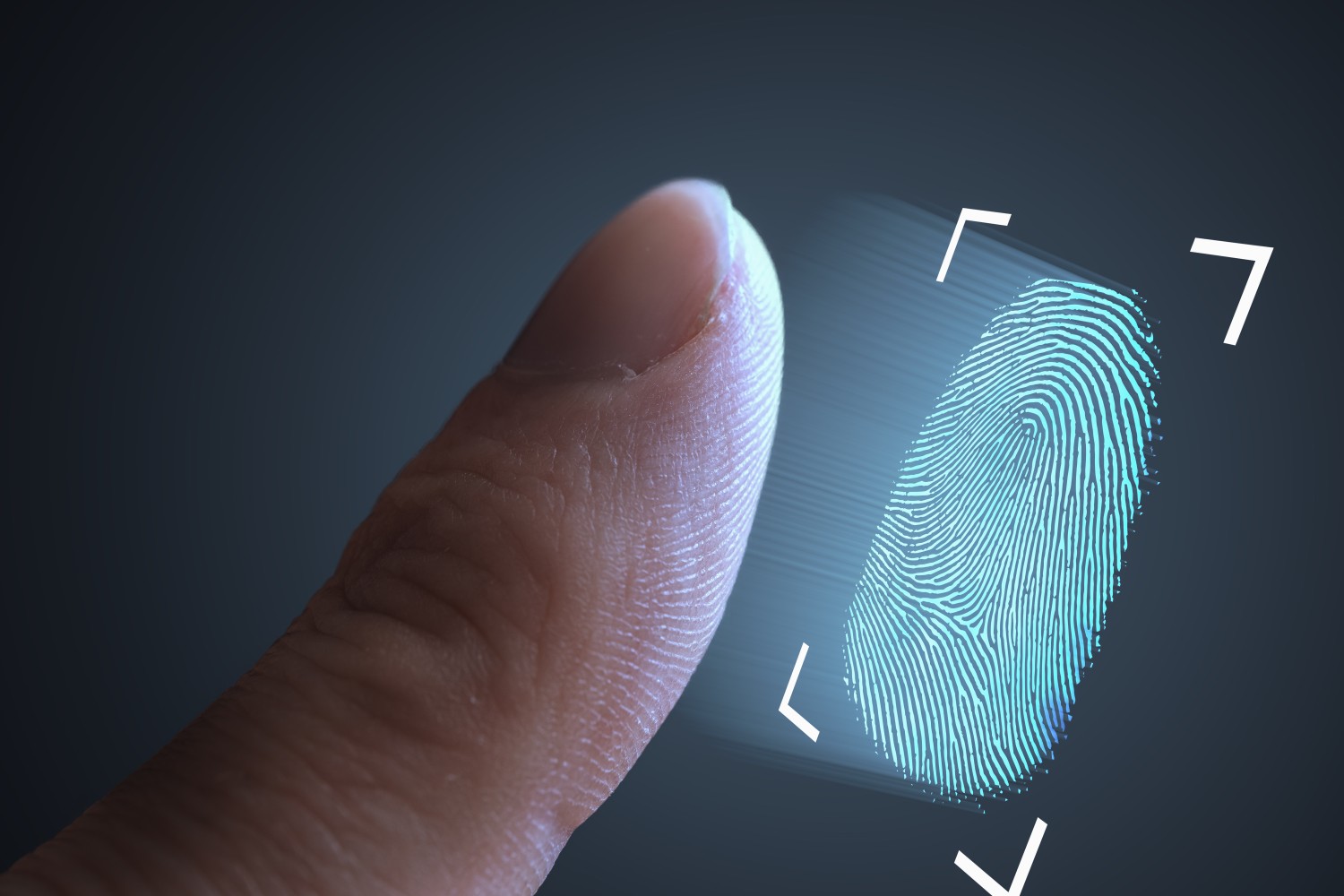 Florencia contará con sistema de biometría.