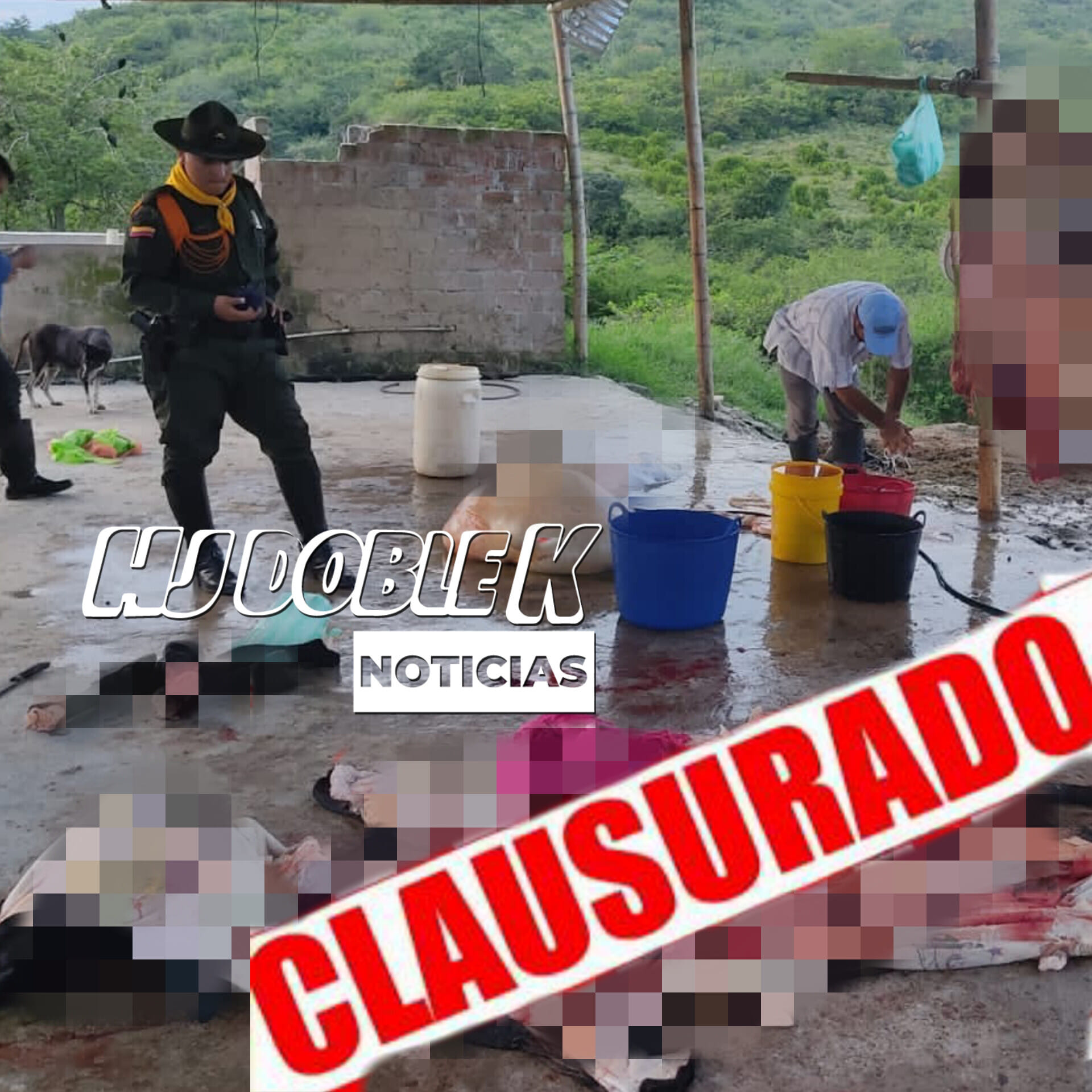 Allanamiento a carnicería ilícita
