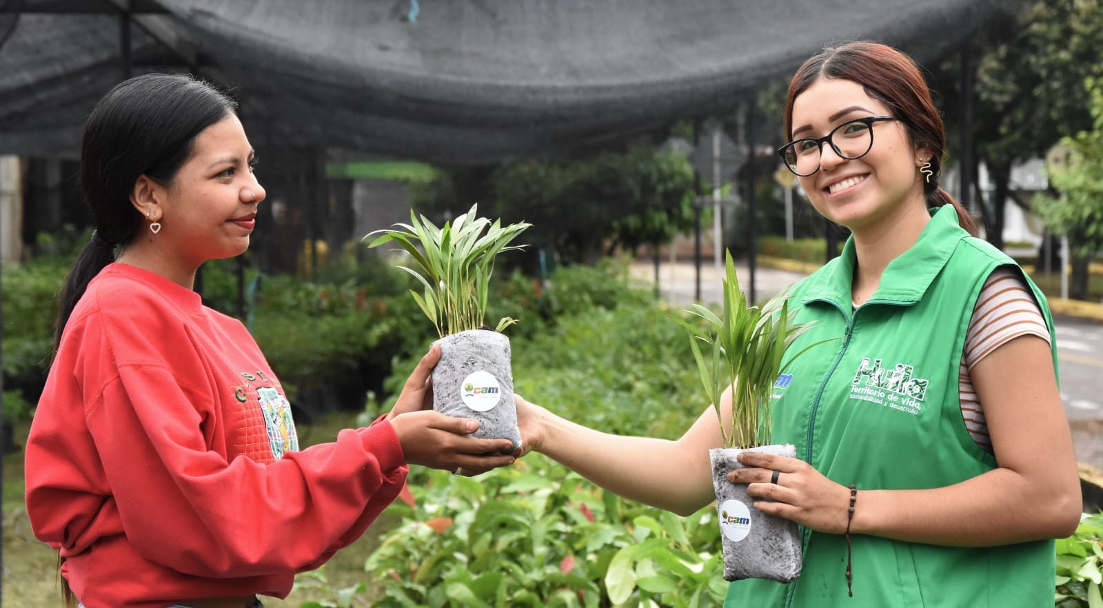 La CAM regalara plantas para el domingo de Ramos