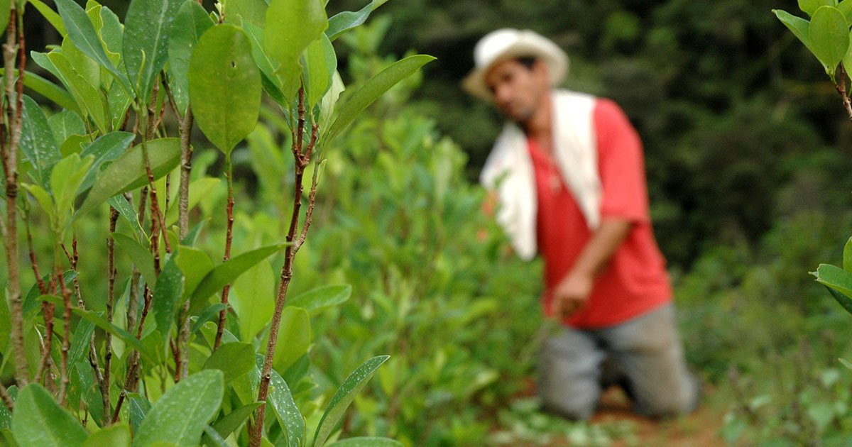 Gobierno no está cumpliendo a los campesinos.