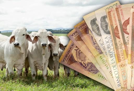 Siguen las amenazas y extorsiones a Ganaderos.