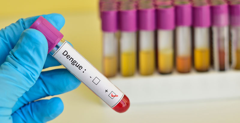 Alerta por dengue en Caquetá.