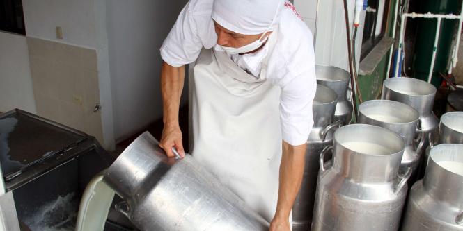 Sigue la crisis del sector Lechero en Caquetá