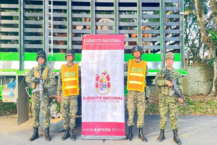 Ejército Nacional recupera 66 semovientes en San Vicente del Caguán, Caquetá