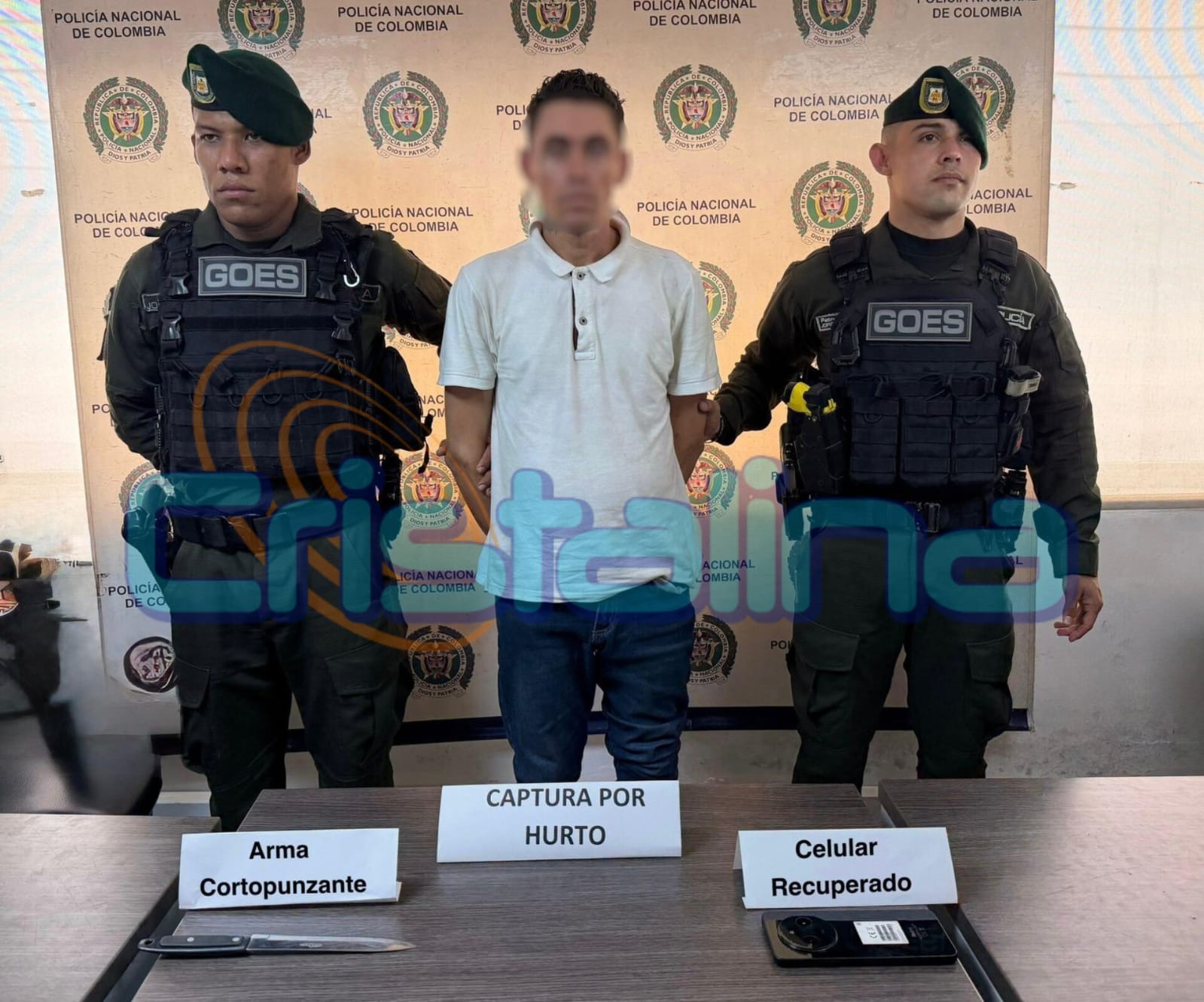Golpe a la delincuencia