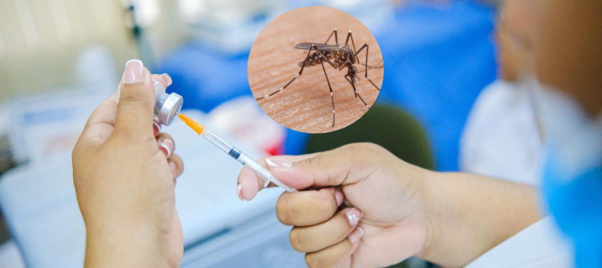Continúa la vacunación para fiebre amarilla