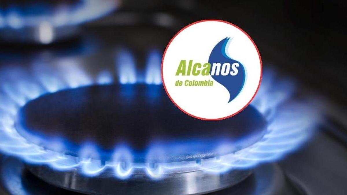 Alcanos de Colombia, ´devolverá´ recursos cobrados