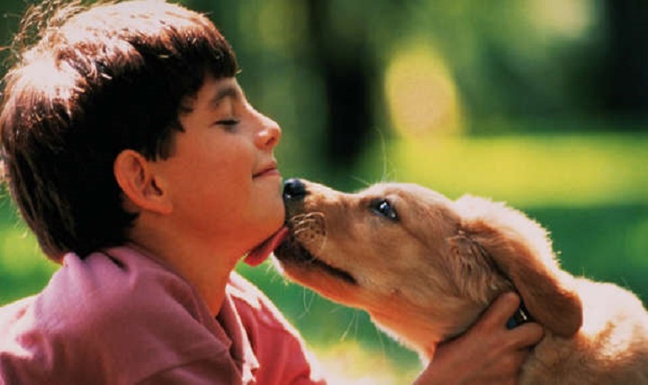 Niño vende colección de Pokémon para salvar a su perro enfermo; la empresa le da una mano
