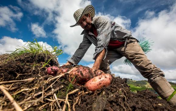 [AUDIO] Cambio climático afecta producción agrícola