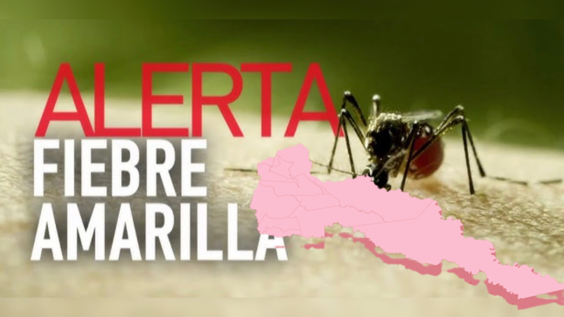 [AUDIO] Se decretó alerta roja en los 37 municipios del Huila por Fiebre amarilla
