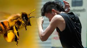 Fallece adulto mayor tras ataque de abeja