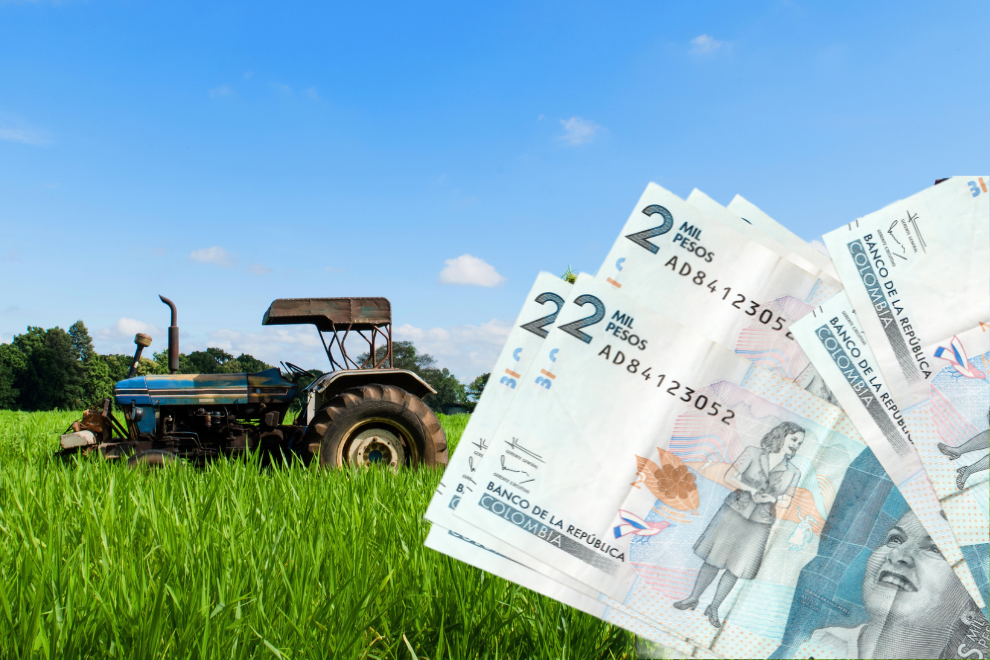 Tensión en el sector arrocero tras aval del Gobierno a acuerdo de precios mínimos