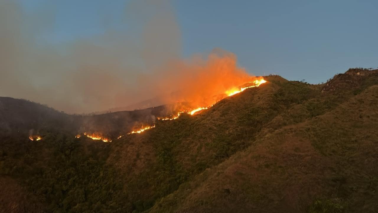 [AUDIO] Se declaró la calamidad pública por incendios forestales en el Huila
