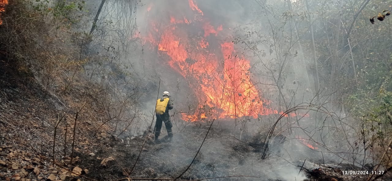 [AUDIO] Calamidad pública por incendios forestales en el Huila