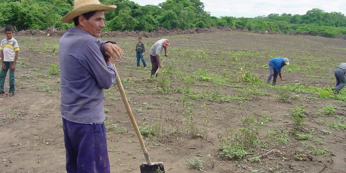 [AUDIO] Se reactivó la mesa agropecuaria del departamento