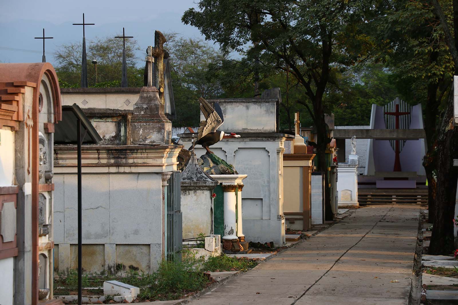 [AUDIO] JEP hace seguimiento a medidas cautelares en cementerio Central