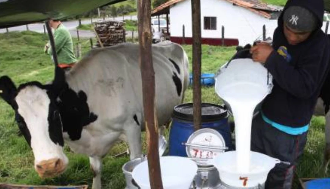 Denuncian cobro de “vacunas” a productores lecheros