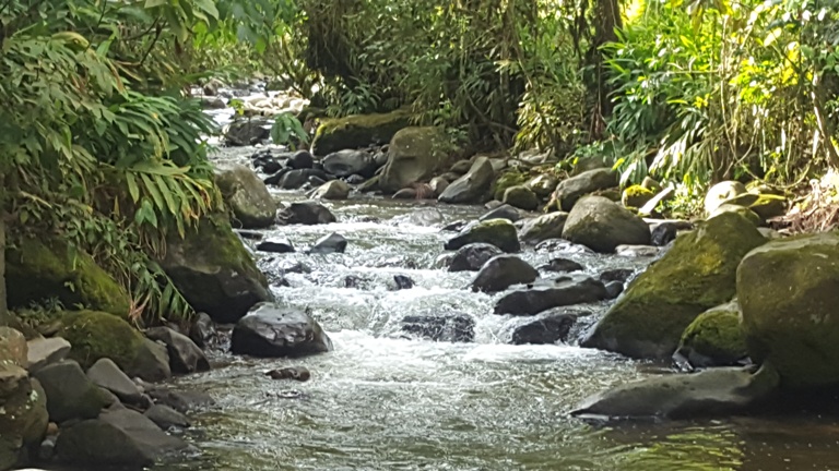 Se estudia proyecto para protección de cuencas hídricas