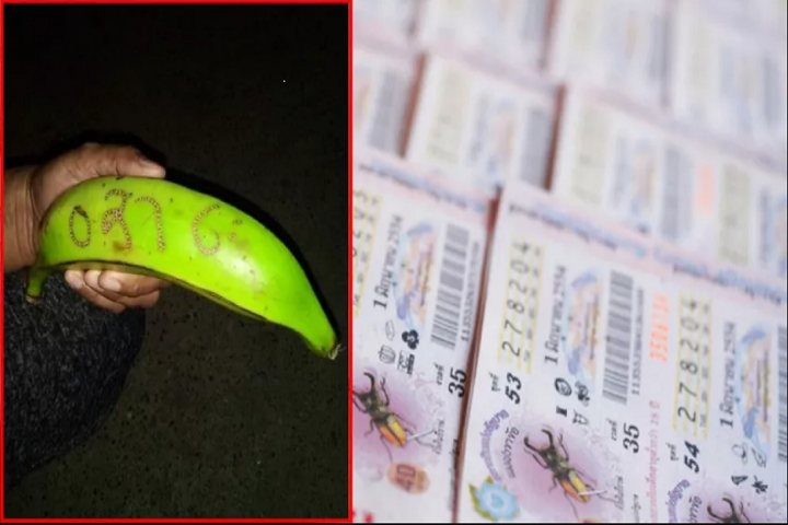 Número de 4 cifras en plátano para sancocho se viralizó en Chocó e hizo ricos a muchos