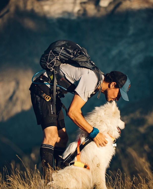 Él es Ouka, el perro que es tendencia por hacer parapente y viajar por el mundo
