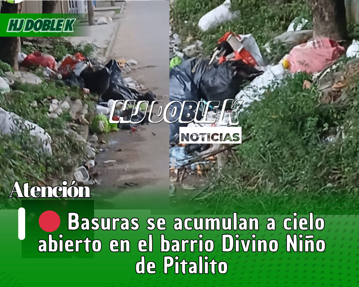 🔴 Basuras se acumulan a cielo abierto en el barrio Divino Niño de Pitalito
