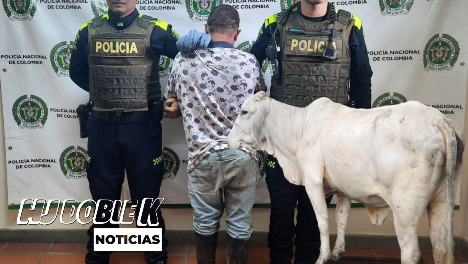 Hombre fue capturado por hurtarse una bovina.