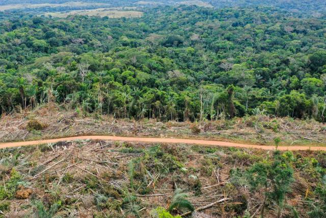 Preocupación por incendios forestales en Caquetá
