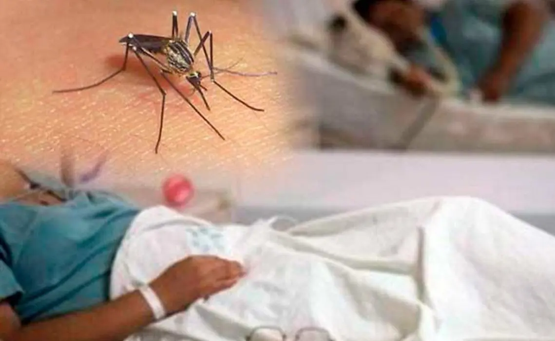 [AUDIO] 2 mil 576 casos de dengue han sido reportados en el Huila
