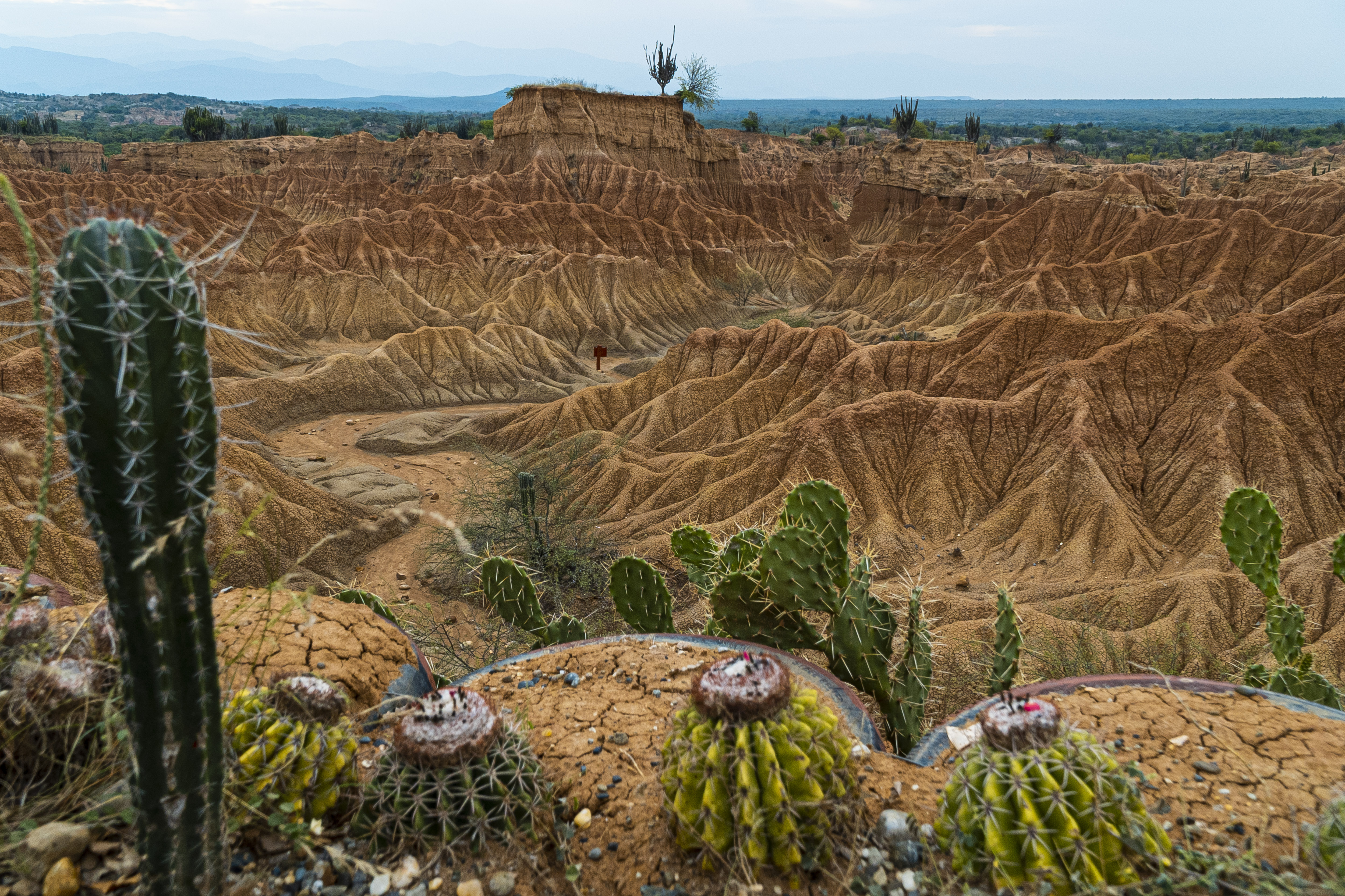 [AUDIO] Es seguro visitar el desierto de la Tatacoa afirman las autoridades