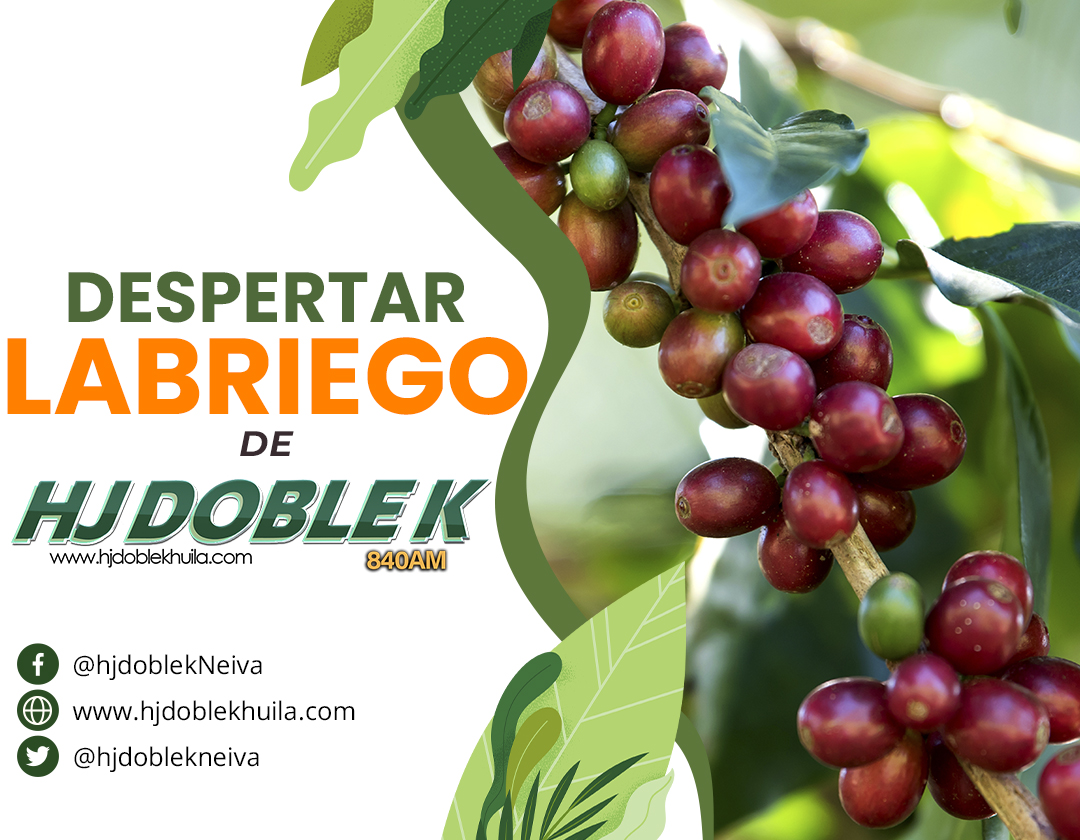 DESPERTAR LABRIEGO