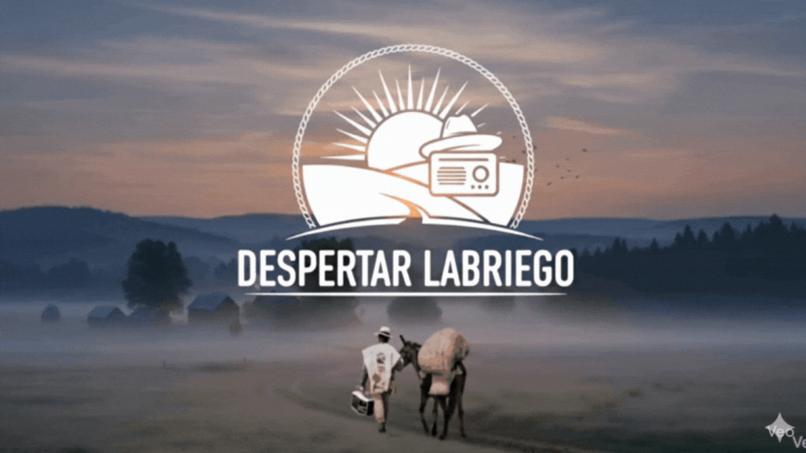 DESPERTAR LABRIEGO