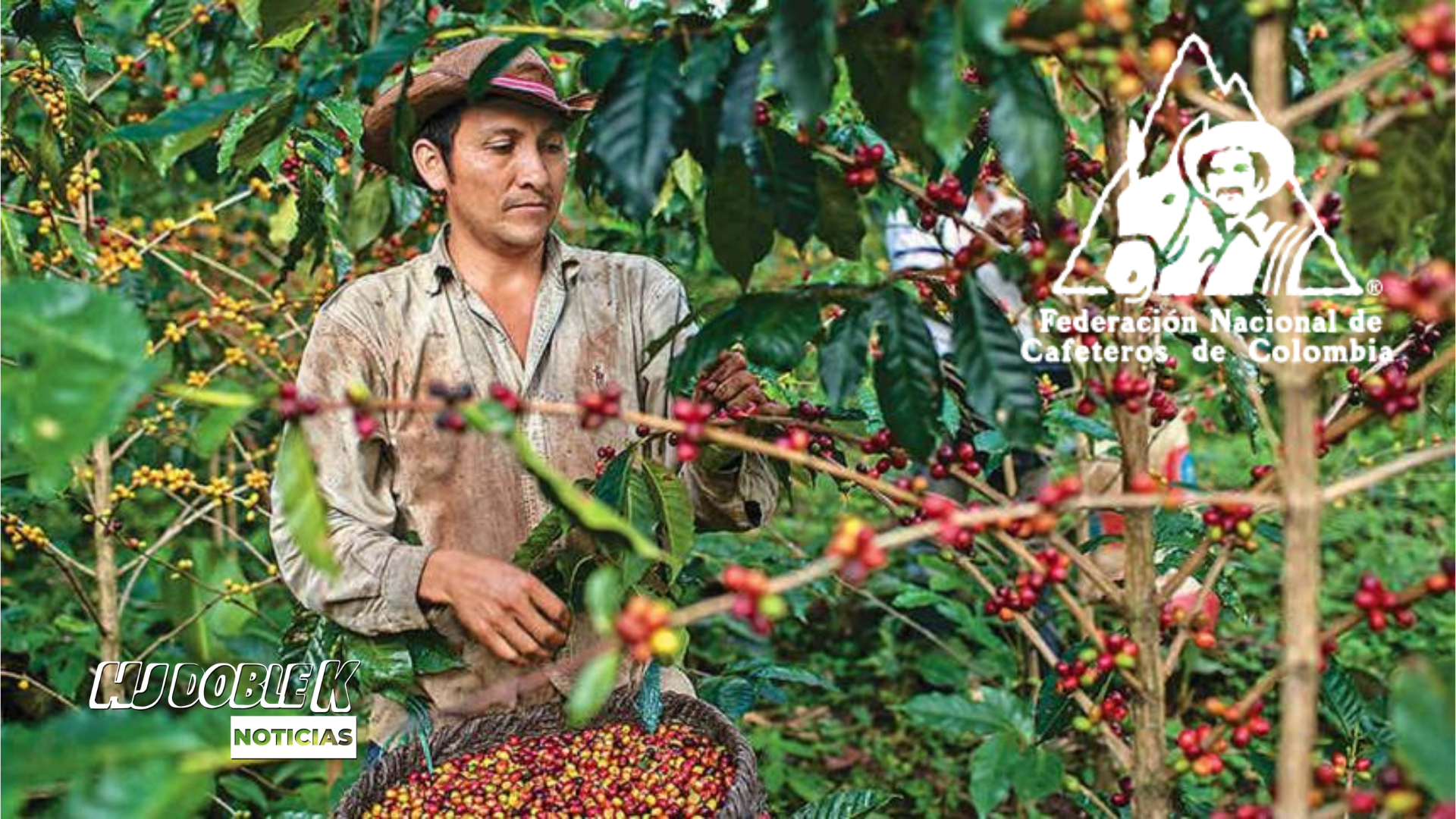Interesados en ocupar el cargo de gerentes en la federación de cafeteros