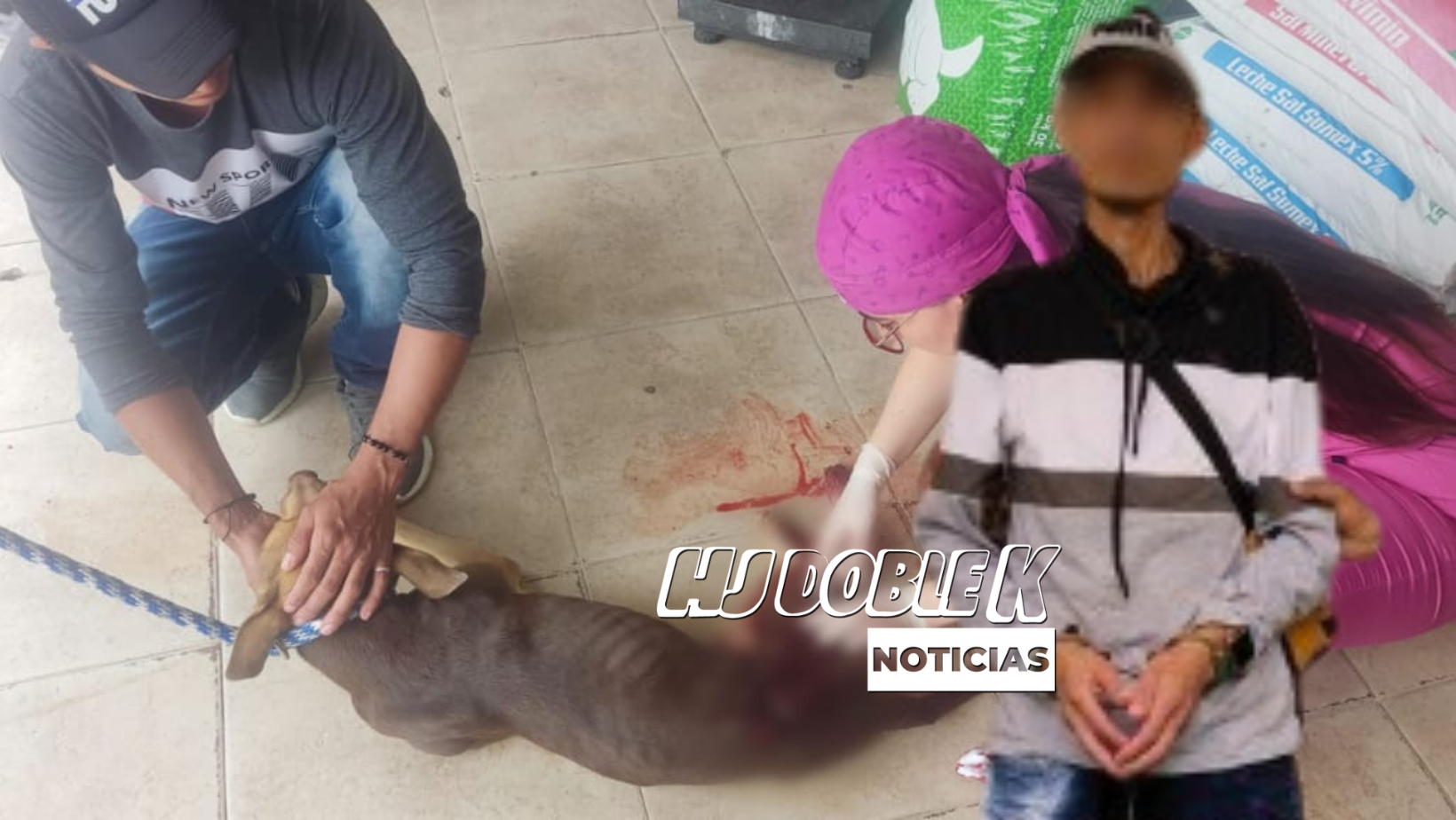 Quedo en libertad el carnicero que agredió a un canino con arma blanca.