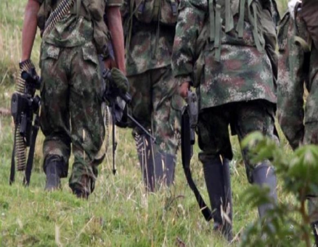 Disidencias de las Farc, habrían incrementado su presencia