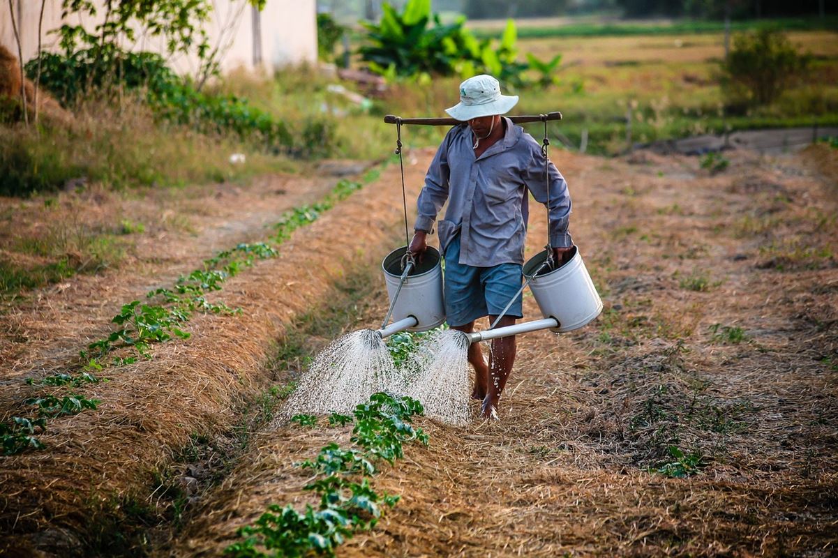 [AUDIO] Las preocupaciones del Presidente de la Sociedad de Agricultores
