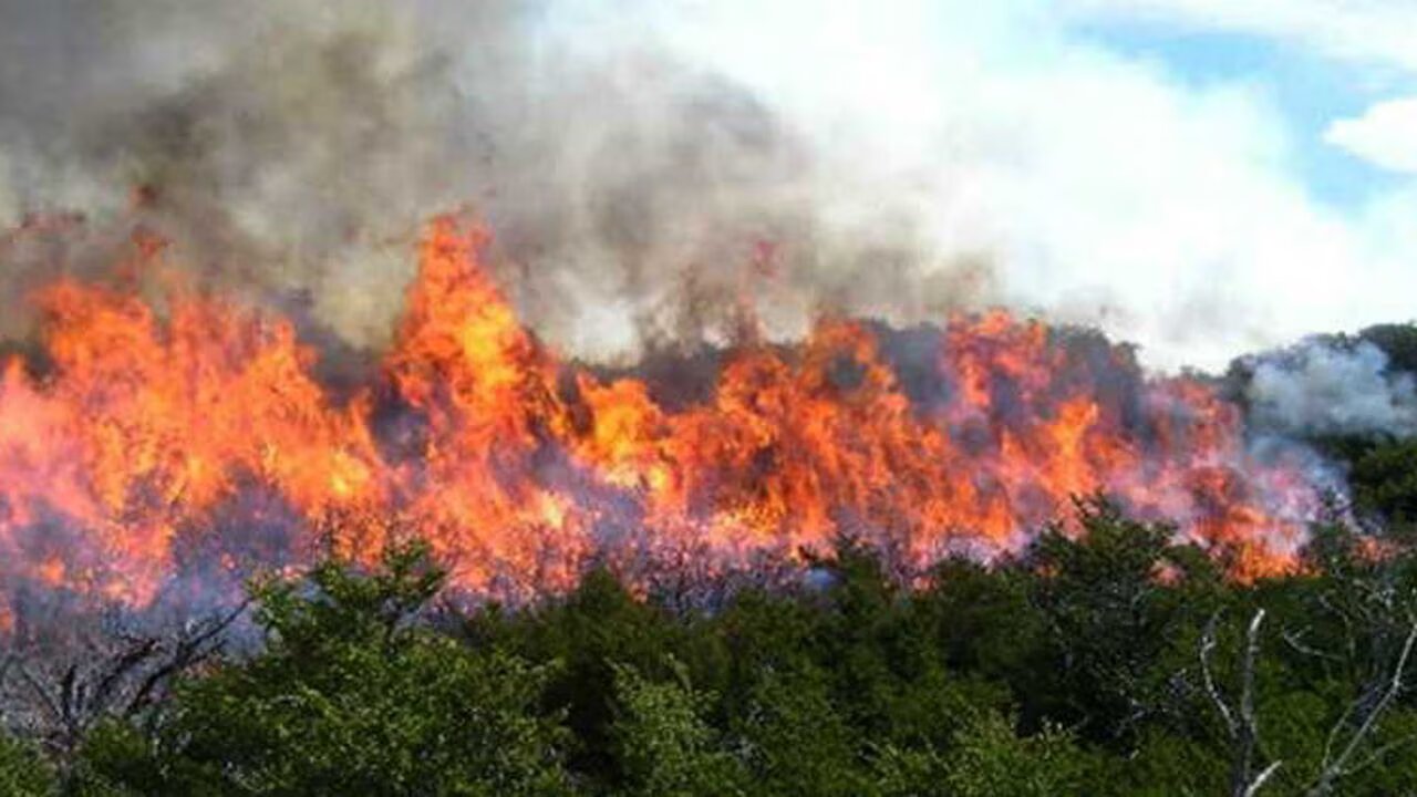 [AUDIO] El Ministerio de ambiente lanza brigadas comunitarias como “El niño no es un juego”