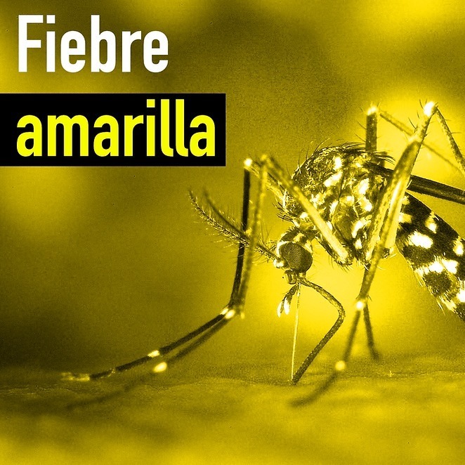 Casos de Fiebre Amarilla en el Tolima prenden las alarmas en Colombia, Huila