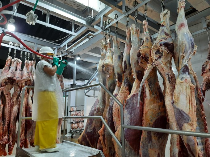 COFEMA S.A, no ejecutara recursos en planta de sacrificio porcino.