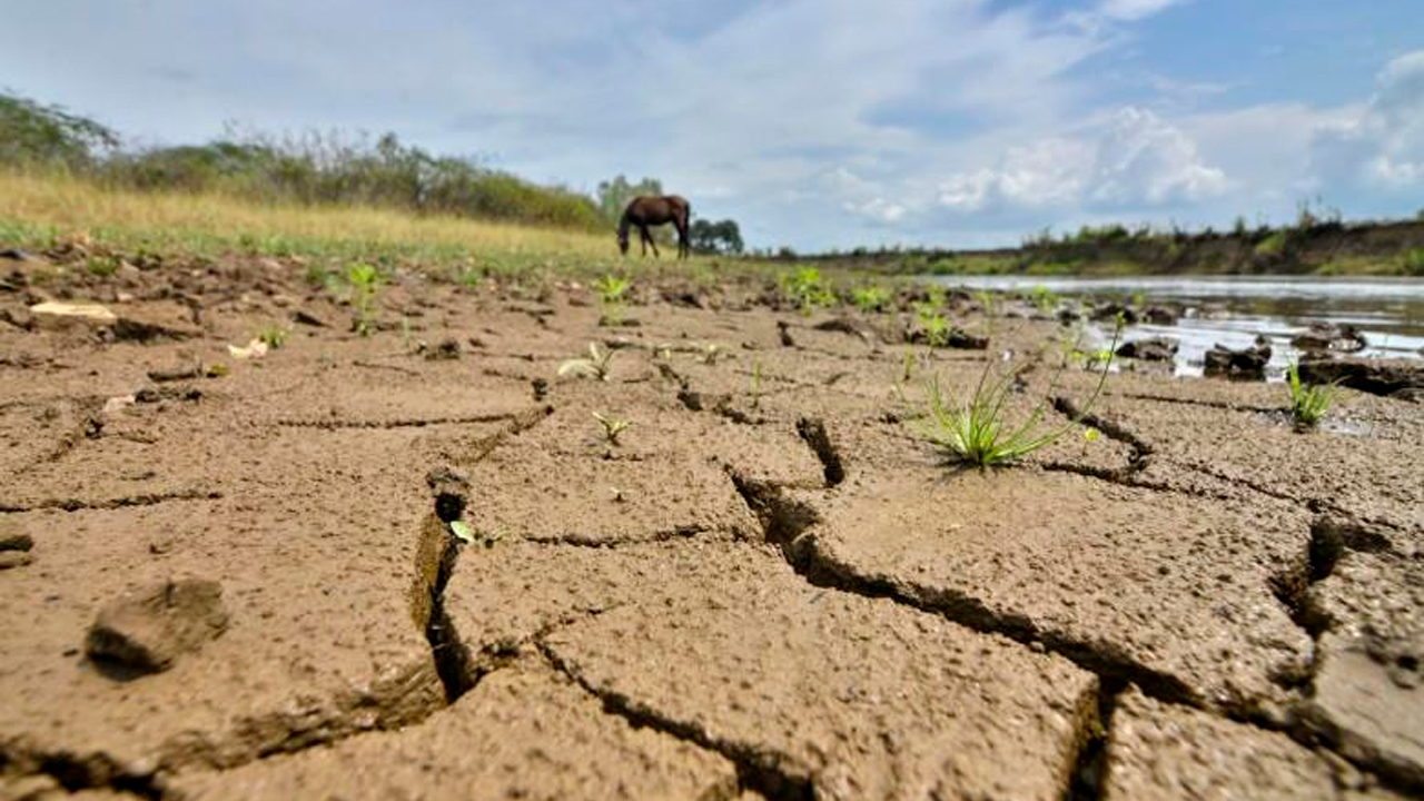 [AUDIO] MinAmbiente anunció inversión de $2,2 billones para el plan de gestión contra El fenómeno del Niño
