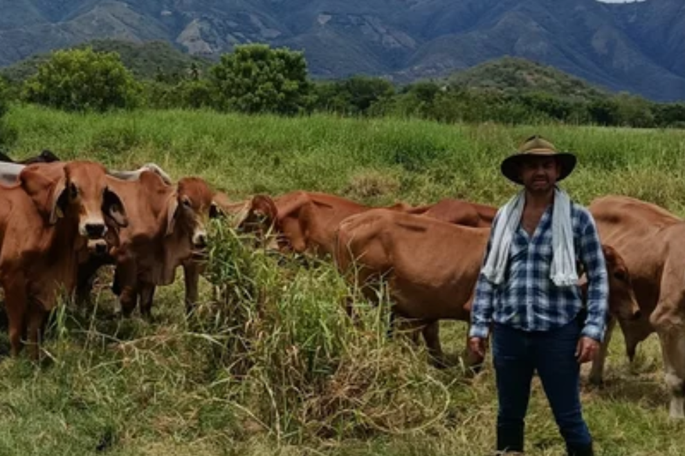 Ganadería busca adaptarse al calor extremo para evitar pérdidas en el campo